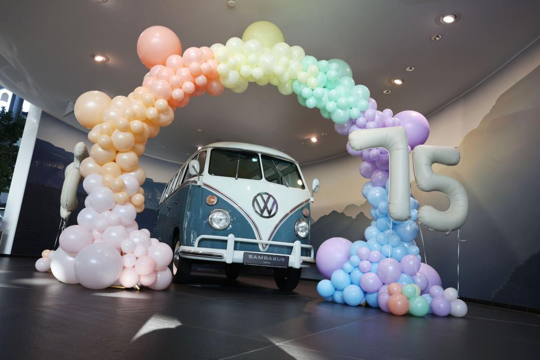Jubiläumswochenende mit Open-Air-Ausstellung: Mehr als 75 Bullis aller Generation sind in der Autostadt zu sehen. (Foto: VWN)