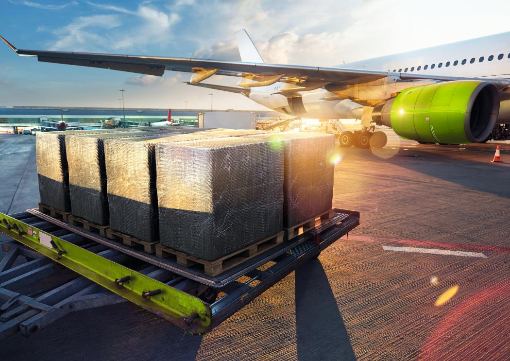 Thermal covers by Ecocool for air freight (Photo: Kelling-Marketing.de)