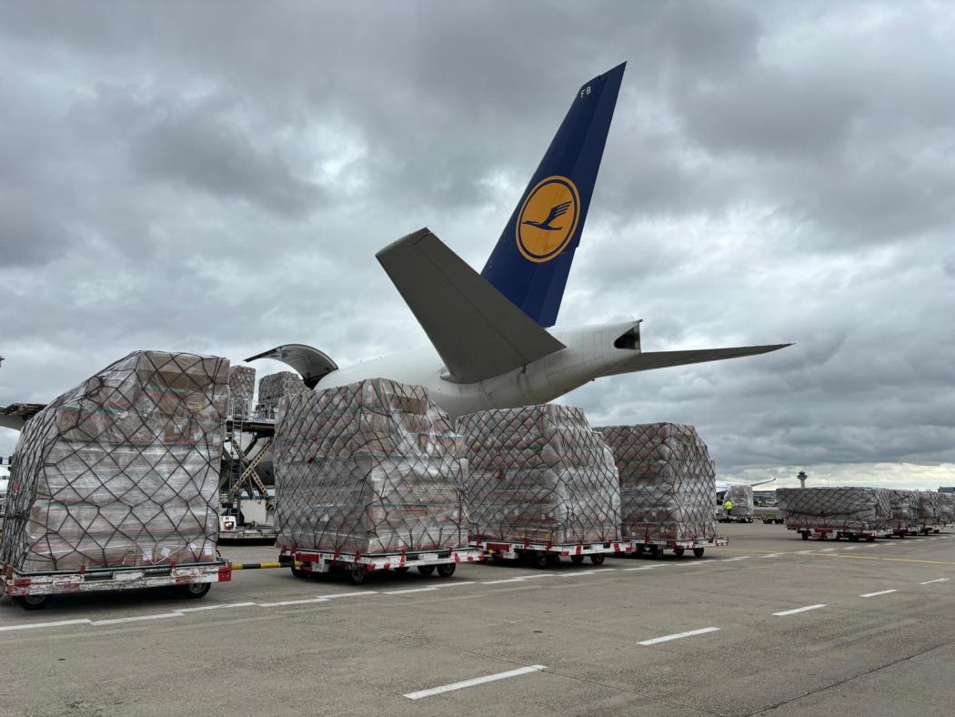 Die Zollabfertigung sensibler Warengruppen erfordert abgestimmte Prozesse zwischen Logistikdienstleistern und Behörden. | Foto: M. Odabas/CB Customs Broker