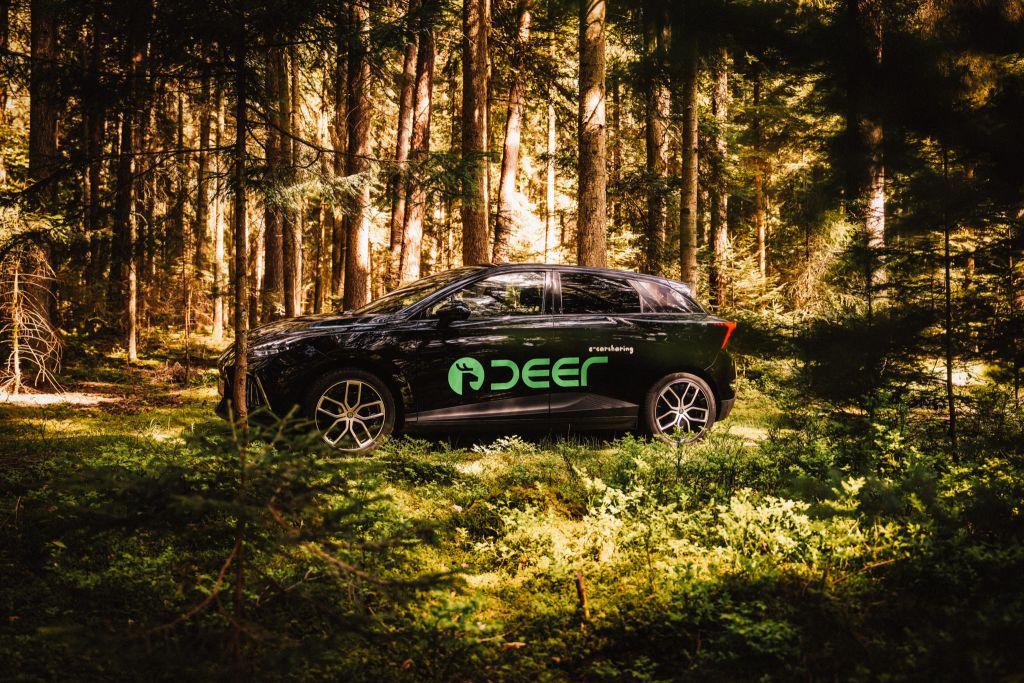 Auch im Wald auf Empfang: Die neue Lösung soll die Teil-Autos von deer überall ort- und verfügbar machen. | Foto: deer