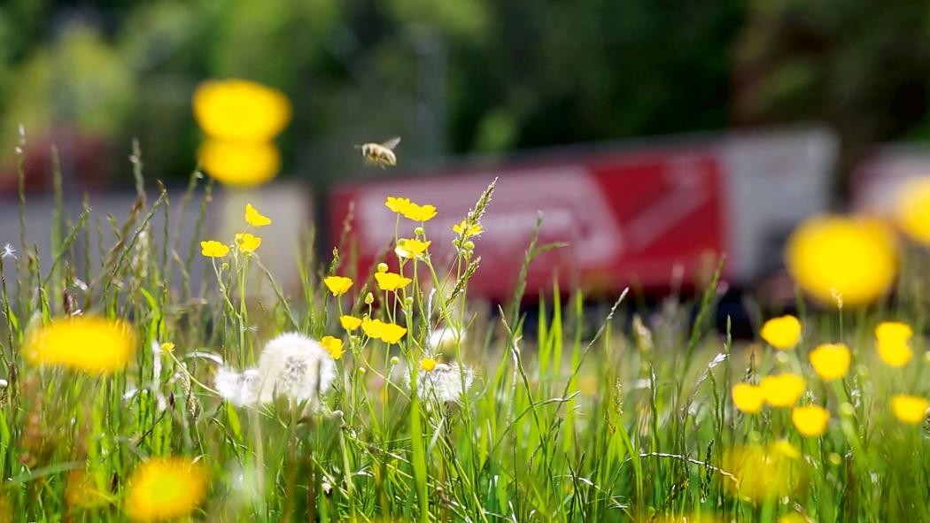 Für mehr Klimaschutz in der Transportkette: Die Kombiverkehr KG und Shipzero wollen in der Bilanzierung von Transportemissionen künftig eng zusammenarbeiten. Foto: Kombiverkehr mbH &amp;amp; Co. KG