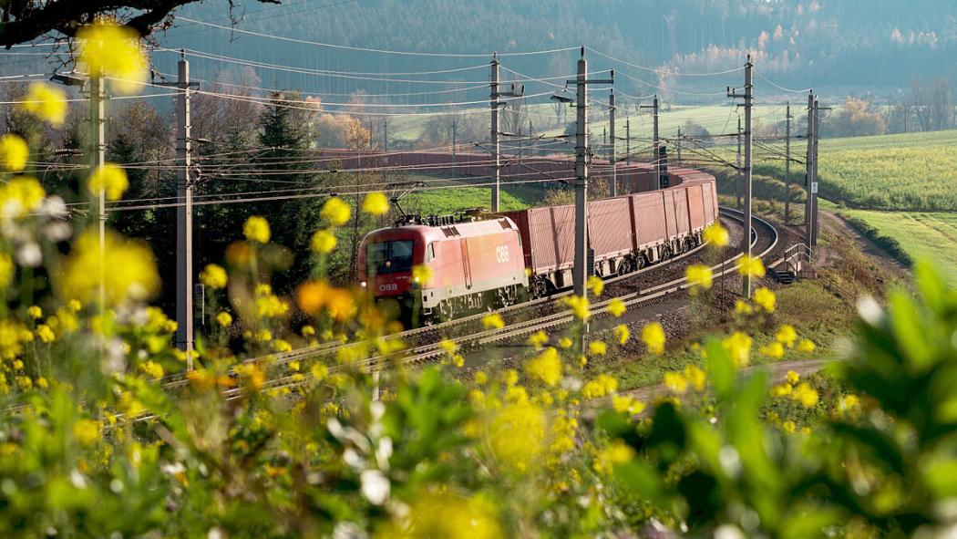 Einen höheren Takt und mehr Reichweite für das internationale Netzwerk hat ÖBB RCG verkündet. (Foto: RCG/David Payr)